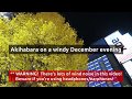 Akihabara on a windy December evening