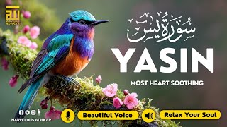 Surah Yasin (Yaseen) سورة يس ✦ Beautiful voice heart touching ✦ Majestic Quran For Sleep ✦ Alaa Aqel