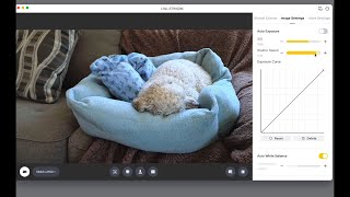 Looking at the Mac Apps for Insta360 Link, Logitech Brio, Elgato Facecam