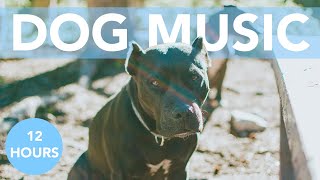 RELAXING DOG MUSIC for Anxious and Hyperactive Dogs! NEW!