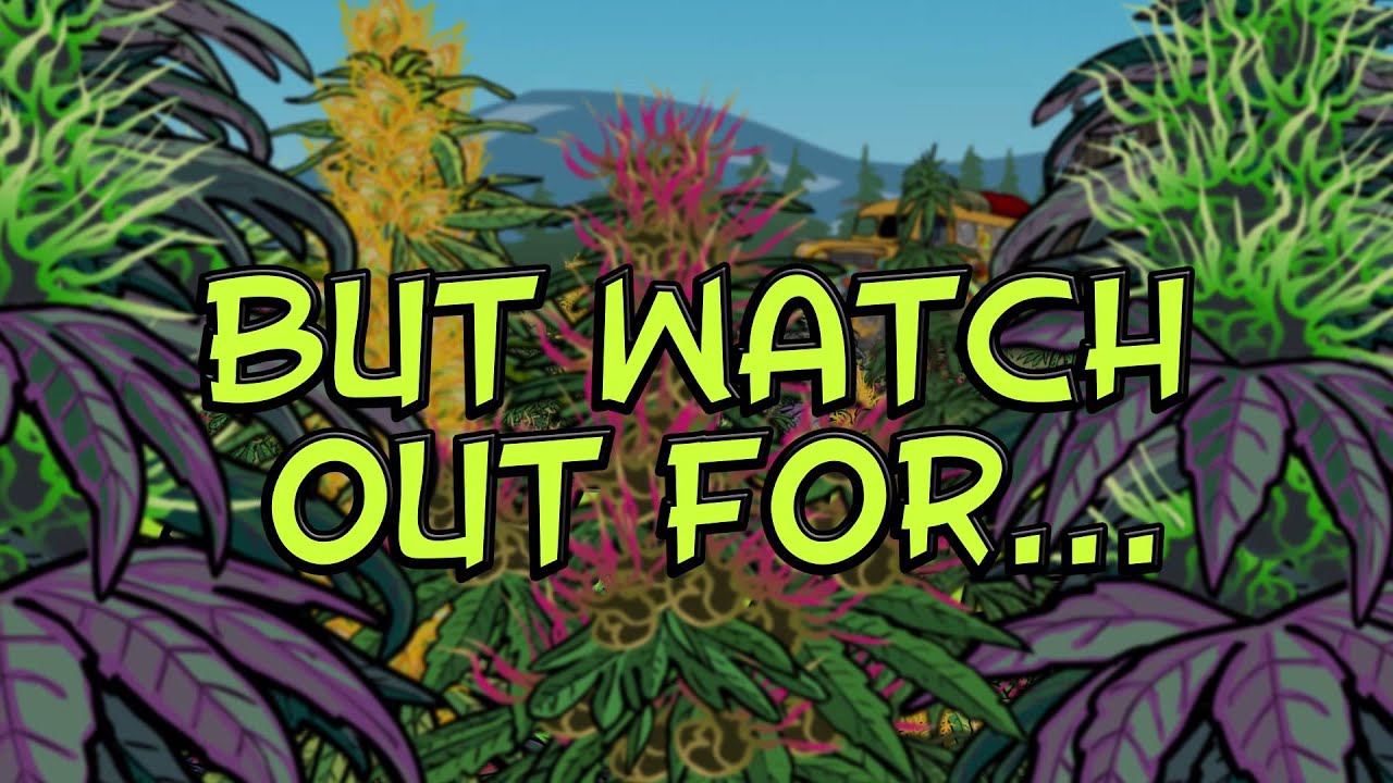 Grow Weed on Facebook with Pot Farm!