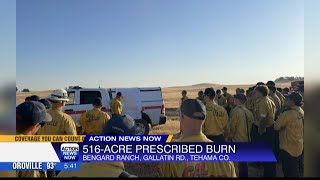 CAL FIRE Tehama-Glenn Unit conducts 500+ acre control burn outside of Red Bluff