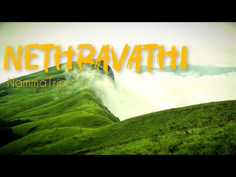 NETHRAVATHI TREK BY NAMMATRIP - video from NammaTrip