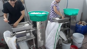 Máy vắt nước cốt dừa chất lượng - Điện Cơ Xanh