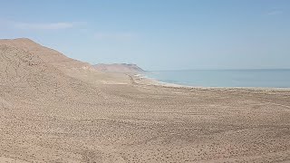 Красноводск Туркмения Natural Fauna Turkmenistan