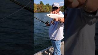 How To Work Glide Baits