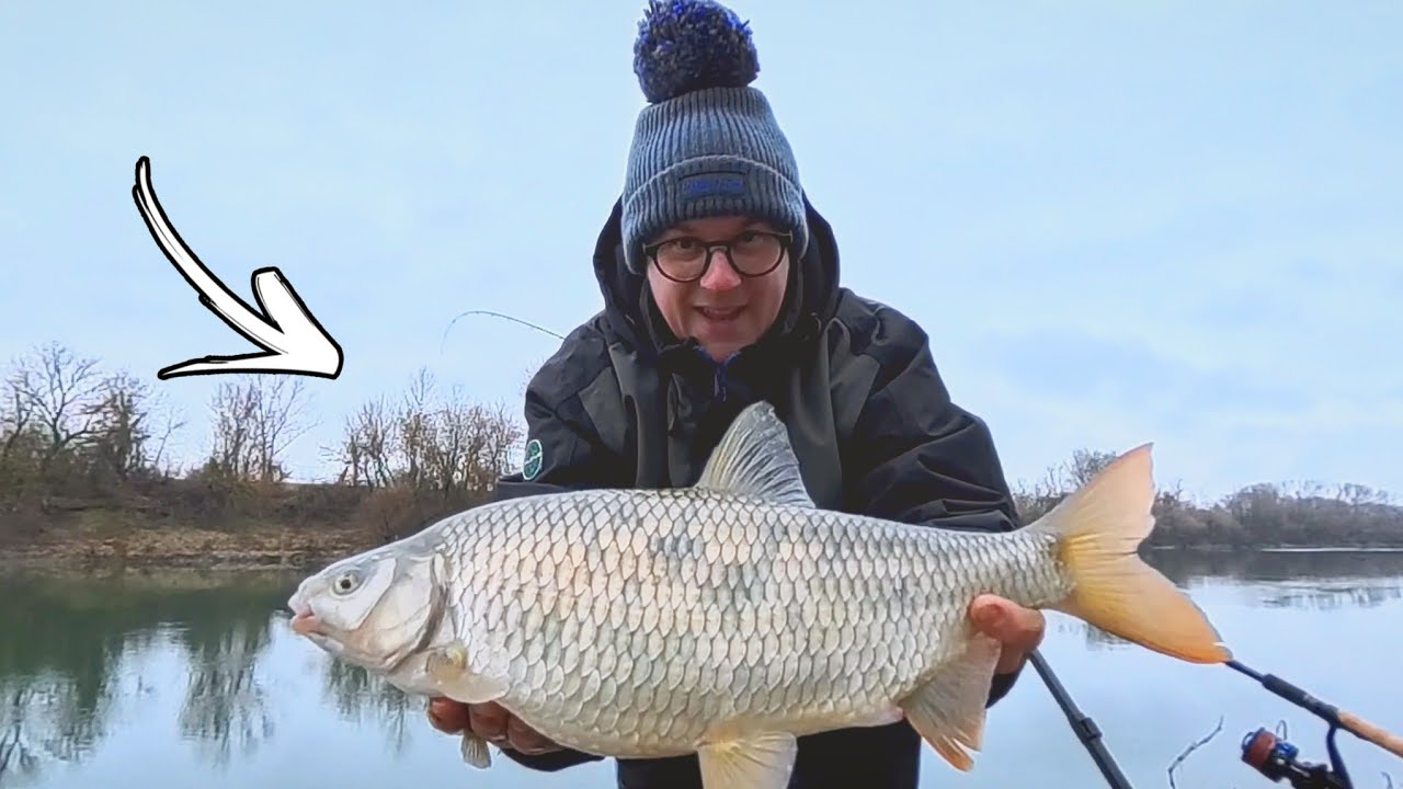 Ovakve RIBE se ne viđaju često na SAVI!!