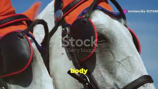 Horse |Features, Habitat, Mannerisms and Diet!