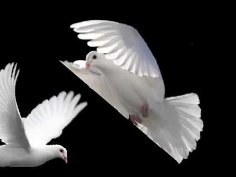 Merpati Putih Chrisye Youtube