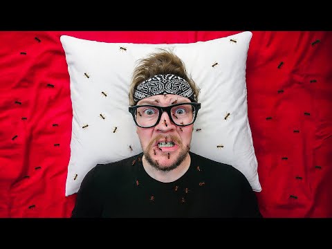 I accidentally created the ANTpocalypse