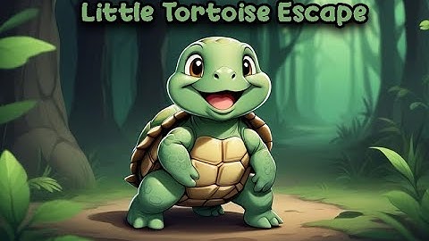 G4K Little Tortoise Escape Game Walkthrough