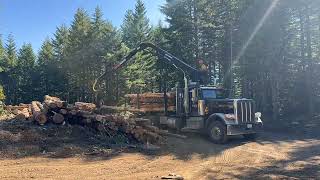 TIMELAPSE - Self Loader Short Haul Log Truck