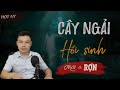 Cây Ngải Hồi Sinh - Truyện Ma Mới Thuật Bùa Giữ Hồn Người Mất Sống Lại Đình Soạn Kể Rợn