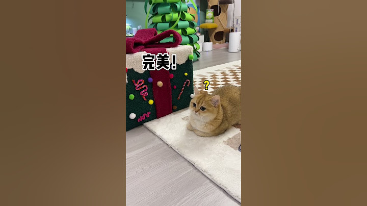 【牛奶是只猫】猫窝一猫一个！一点都不偏心，根据脑容量定大小哈哈哈哈
