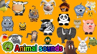 The Animal Sounds Song || Guess the Animals AG1AG2 || Animal song Edufam Kids Song and Nursery Rhyme