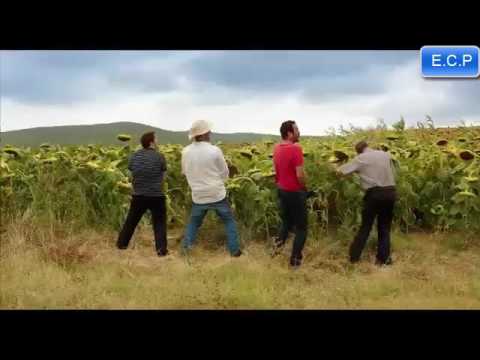 Çakallarla Dans 4 - 25 Kasımda Sinemalarda