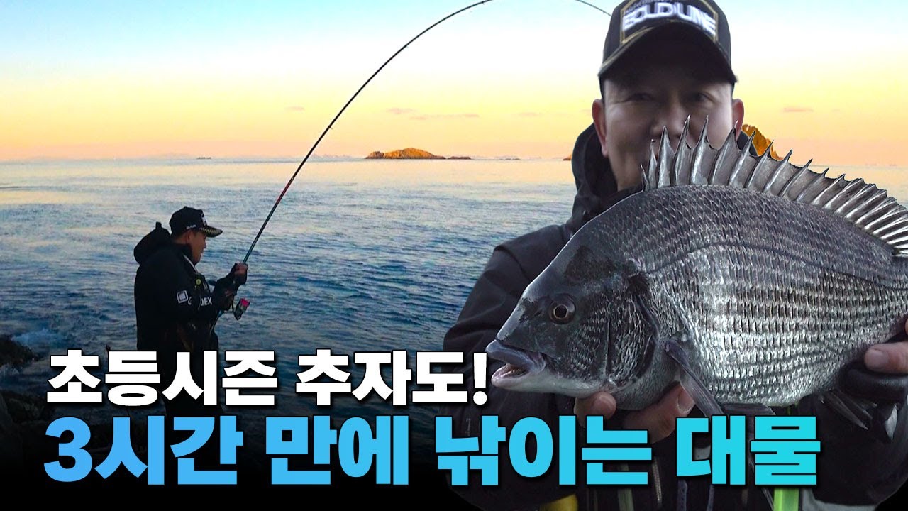 5짜 감성돔이 연이어 낚이는 포인트 - [선 굵은 낚시 Ep. 184]