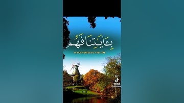 آيات من الذكر الحكيم