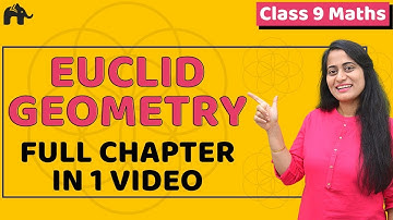 Introduction to Euclid