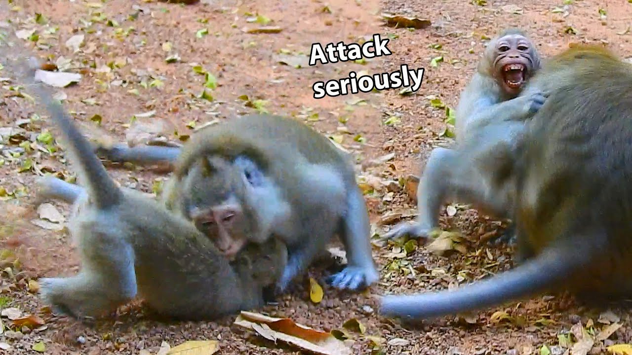 God help, Bad mom Anna attack poor little Alba seriously, Alba crying nearly shock