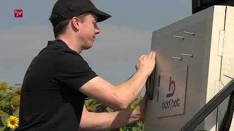 Odd.Bot Omroep Flevoland