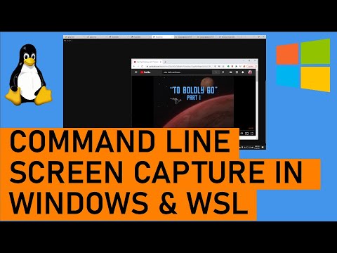 How to take a Windows Screenshot from the command line and within WSL 📷 ...