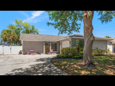 1875 Arbor Dr S, Palm Harbor, FL home video tour