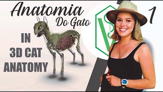 Introdução a Anatomia do Gato - Membros Torácicos e Pélvicos (Osteologia) 3D screenshot 4