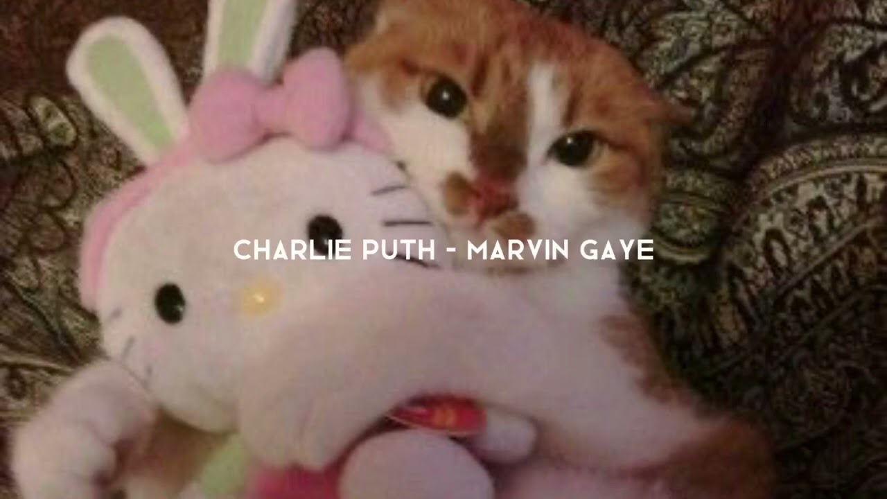 charlie puth ft. meghan trainor - marvin gaye (sped up)