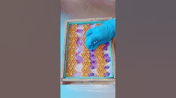 Honey + Blackberry Soap! 🍯 #soapmaking #soapmaker #soapbars #soaps #soap #soaping #cpsoap #soaper