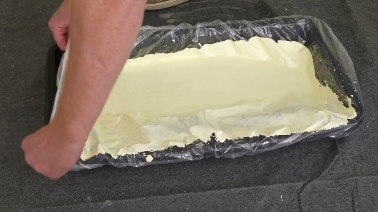 ROLLINGDOG Molossus disposable bucket and tray liners