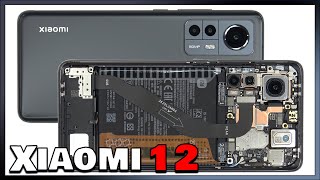 Xiaomi 12 Disassembly Teardown Repair Video Review