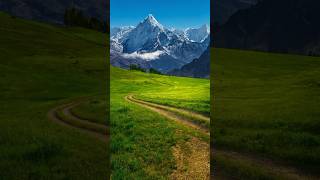 Seamlessly blend images using Generative Fill in #Photoshop!