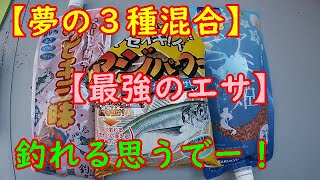 【サビキ釣り】で【アミ姫】・【サビキ三昧】・【アジパワー】を使った【最強のエサ？】の作り方【東海Ver】