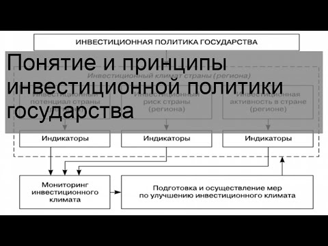 Понятие и принципы инвестиционной политики государства