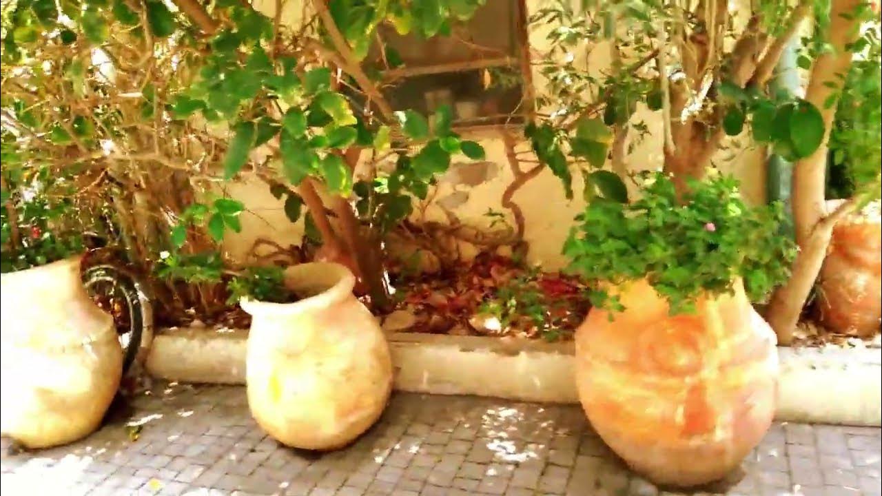 Gal Gadot. Life Style Home. Neighborhood. Neve -Tzedek No1 - YouTube
