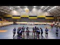 PLAY-OFF EXTRALIGY ŽEN 2016/17 - FLORBAL FAT PIPE Chodov vs. HERBADENT SJM PRAHA 11