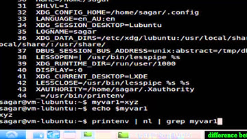 Difference between environment and shell variables in Redhat