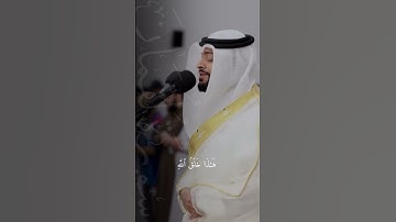أحمد النفيس | سورة لقمان