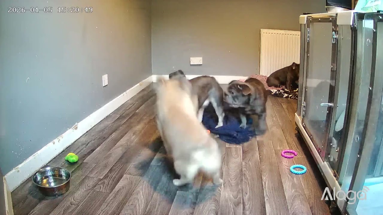 Riots when I’m gone!