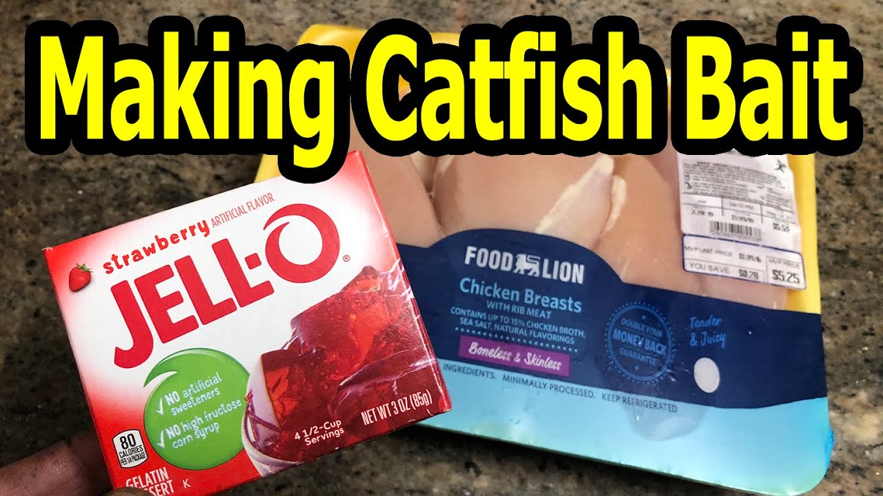 How to Make Strawberry Jello Chicken Catfish Bait at Home 