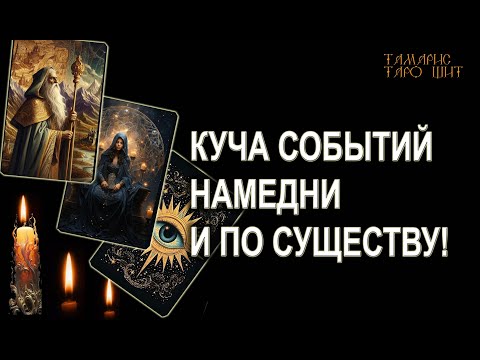 Тамарис таро щит последние расклады