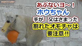 Caution yo~! Beware of Hou hand or a broken toy that has  been caught! 【Tennoji Zoo】