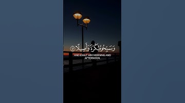 #ماهر_المعيقلي ❤️ #اكسبلور #تلاوة_هادئة #راحة_نفسية #اكتب_شيئ_تؤجر_عليه #لايك 