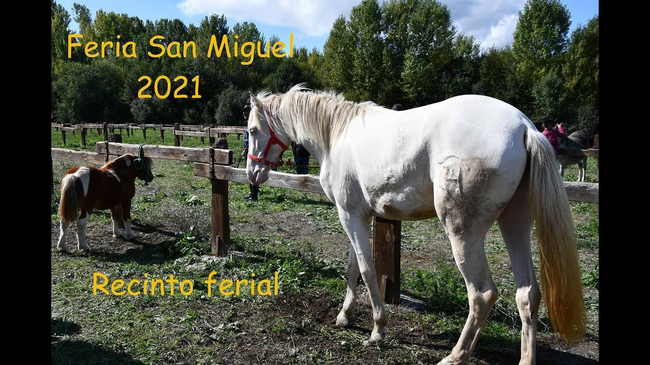 Feria de San Miguel 2021. CACABELOS