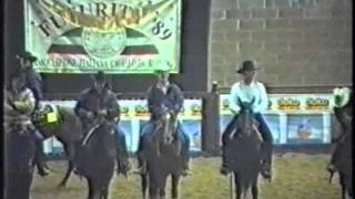 RDVideo - Finale del Futurity ANCR 1989 cat. Open - video 5 di 5