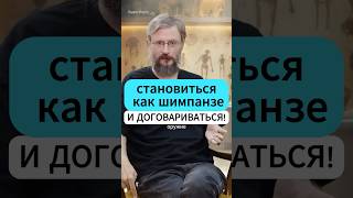 ПАРАДОКС ВОЙНЫ #дробышевский #интересно #наука #шортс