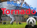 Wheel Swing Tornado | Freestyle 4k