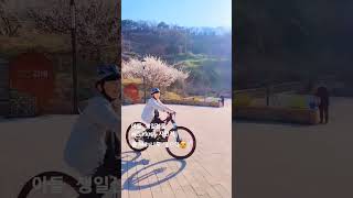 삼남매 둘째 11살 아들 생일선물로 엘파마자전거 새삥