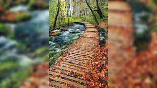 Düşler Sokağında